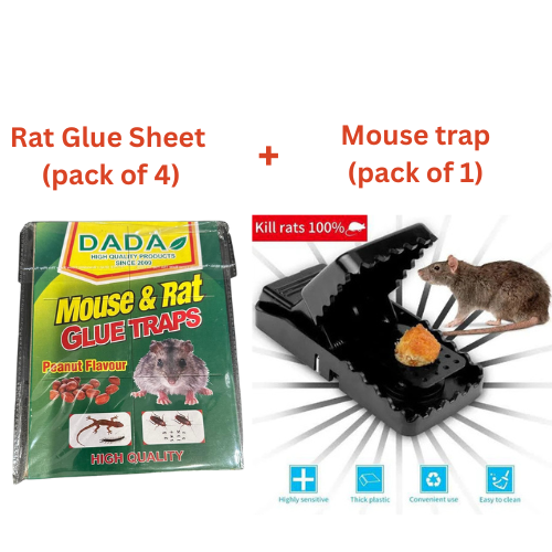 Mouse trap(pack of 1) + Rat Glue Sheet (pack of 4)