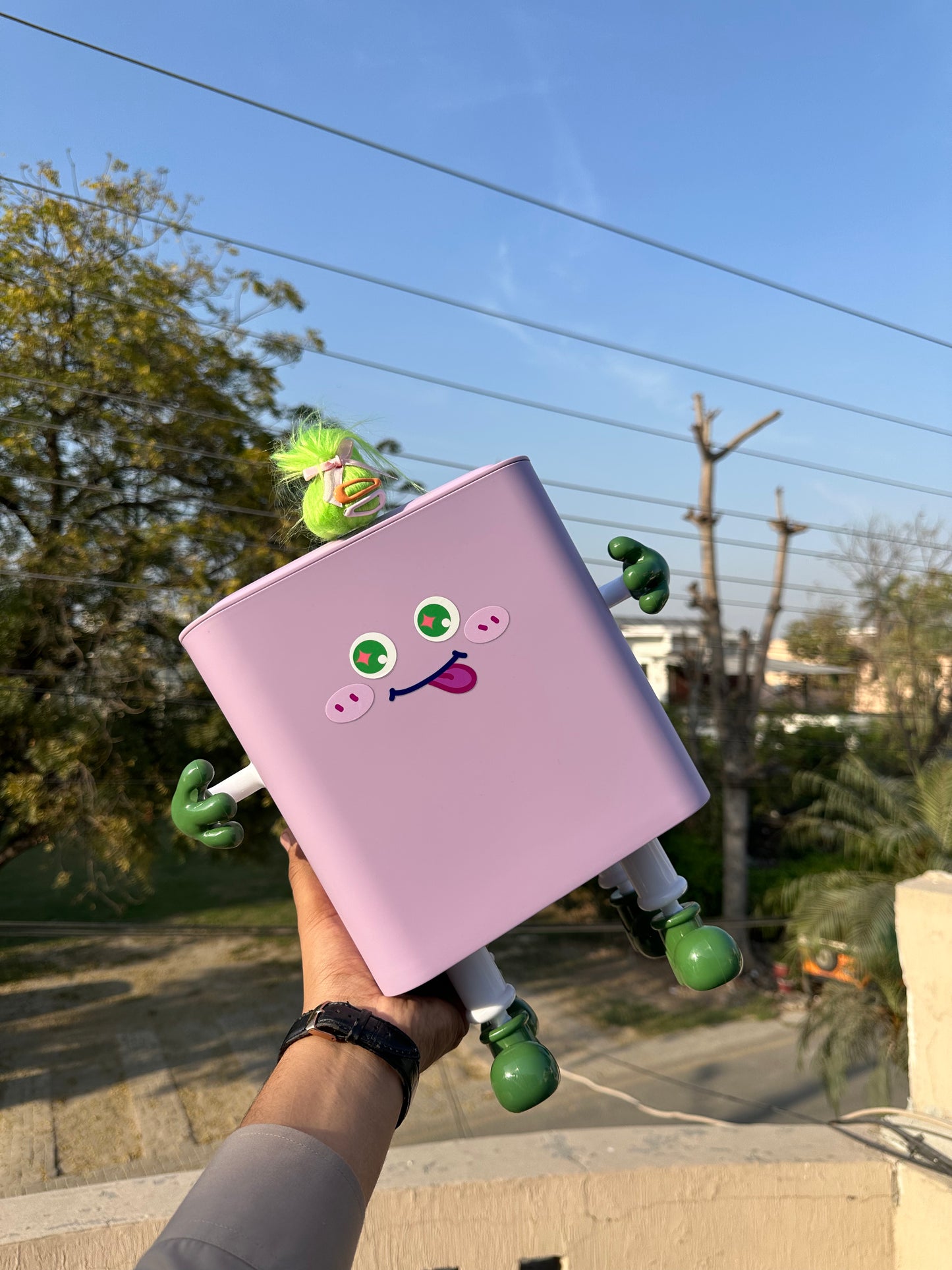 Cute Storage Box