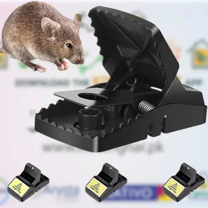 Mouse Trap