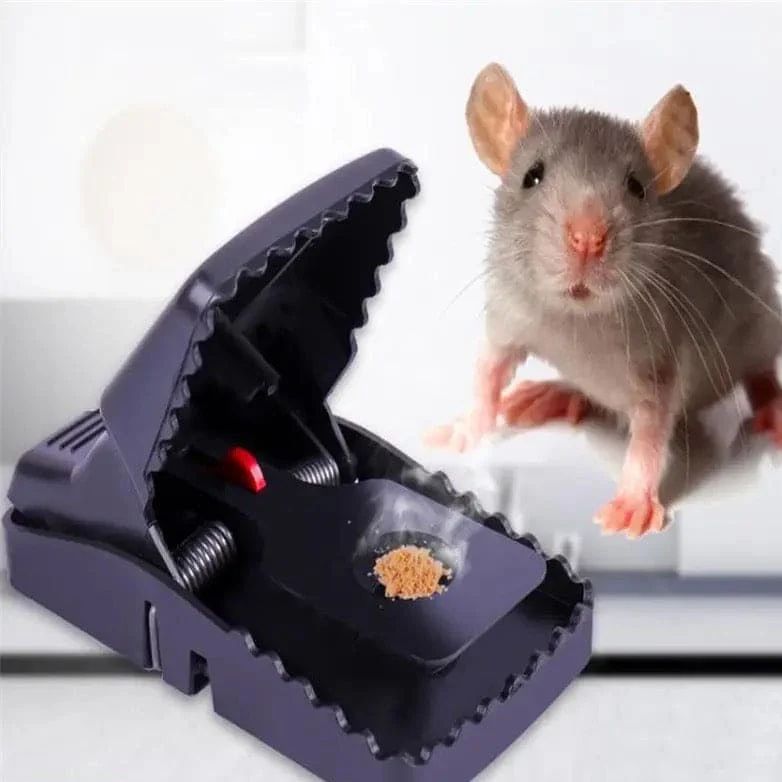Mouse Trap