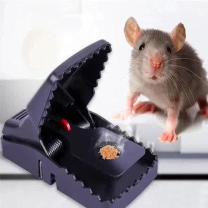Mouse trap(pack of 1) + Rat Glue Sheet (pack of 4)
