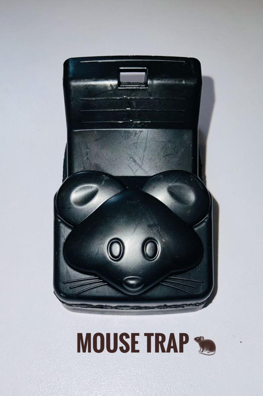 Mouse Trap